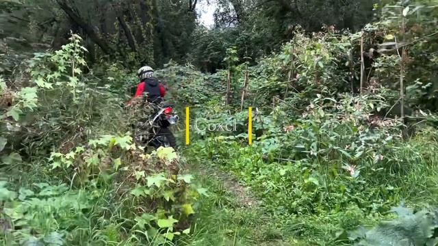 Racer Rc 300 GY8X Panther 300 2022 CoxCF смотреть онлайн