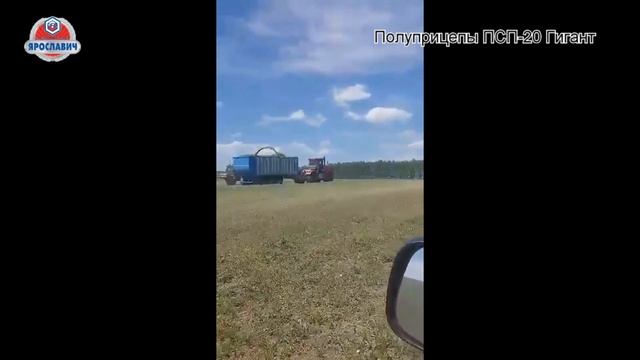 Заготовка кормов. Прицеп ПСП-20 в хозяйстве на уборке силоса. Выгрузка сеннажа. смотреть онлайн