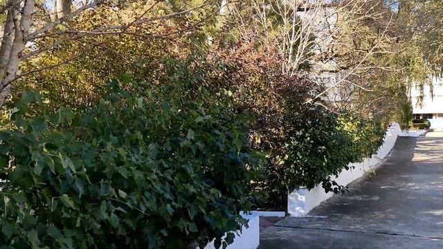 Обзор территории санатория "Золотой берег" в п. Сукко, Анапа смотреть онлайн