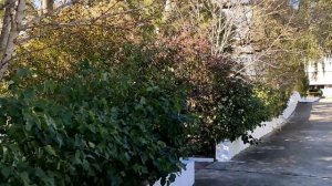 Обзор территории санатория "Золотой берег" в п. Сукко, Анапа