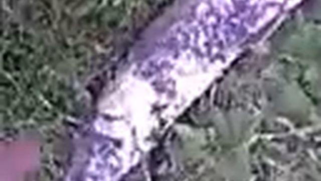 Как может щука укусить смотреть онлайн