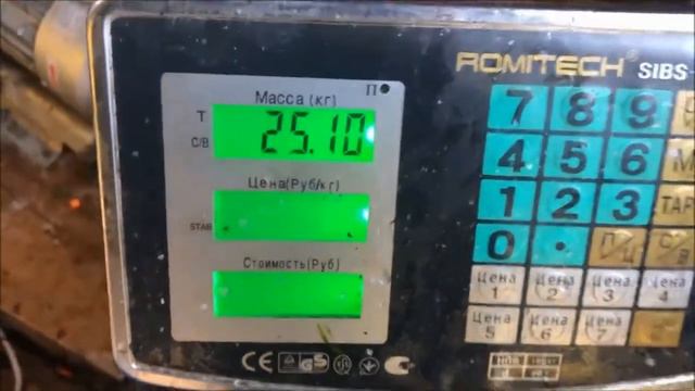 Зарыбление осетром нижнего пруда, 200 кг. Клёвое место Лосиный остров. смотреть онлайн