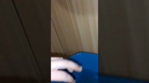 Ревизия водонагревателя Round 50 литров