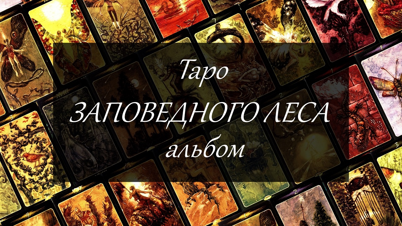Таро Заповедного леса. Альбом, видео-галерея.
