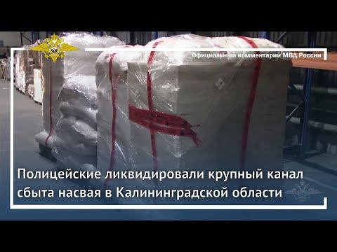 Ирина Волк: Полицейские ликвидировали крупный канал сбыта насвая в Калининградской области смотреть онлайн