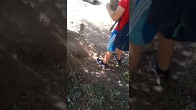 Мы ломаем клавиатуру смотреть онлайн