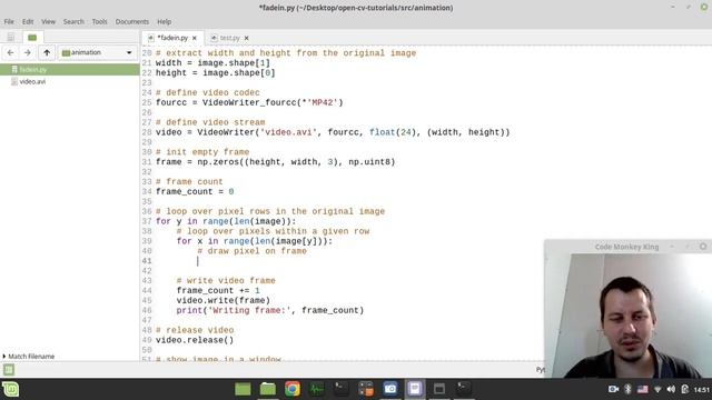 How to make a SIMPLE ANIMATION of FADE IN video effect using Python & OpenCV смотреть онлайн