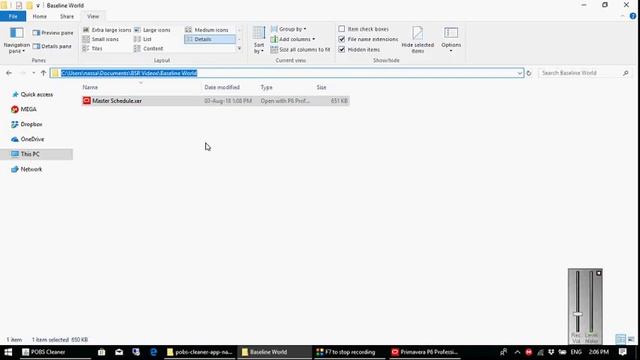 Easy steps for solving the long time importing XER files in Primavera смотреть онлайн