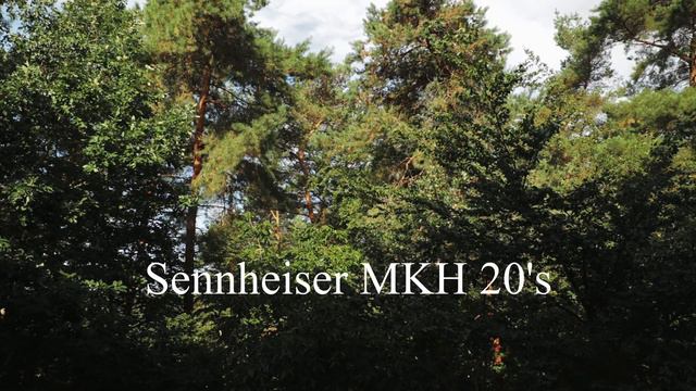 MKH 20's August 18 2020 смотреть онлайн