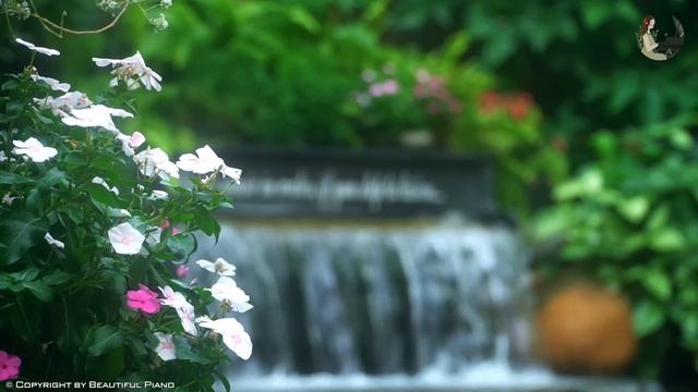 Самые красивые фортепианные мелодии в мире – отдых и приятное прослушивание в любое время смотреть онлайн