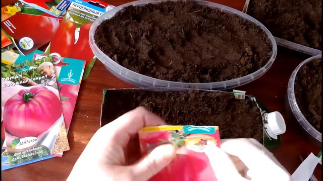 Посев томатов на рассаду. Простой способ посева помидоров без заморочек! смотреть онлайн