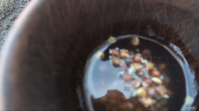 Что можно сажать осенью смотреть онлайн