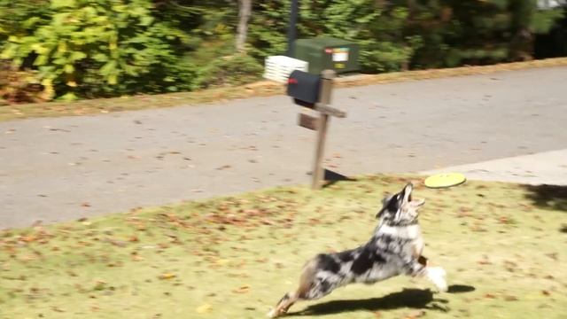 Sony NEX-6 / AVCHD / 60p / sample video смотреть онлайн