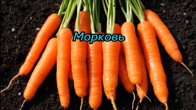 20 продуктов, которые естественным образом очищают печень смотреть онлайн