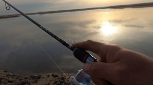 Ловлю судака с берега, раскрываю секрет проводок #рыбалка #судак#клев
