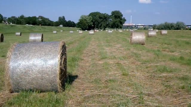 Samsung NX10 rolling shutter смотреть онлайн