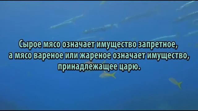 К чему снится Мясо сонник, толкование сна смотреть онлайн