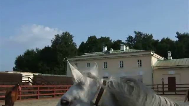 Конный манеж в Парке Кузьминки смотреть онлайн