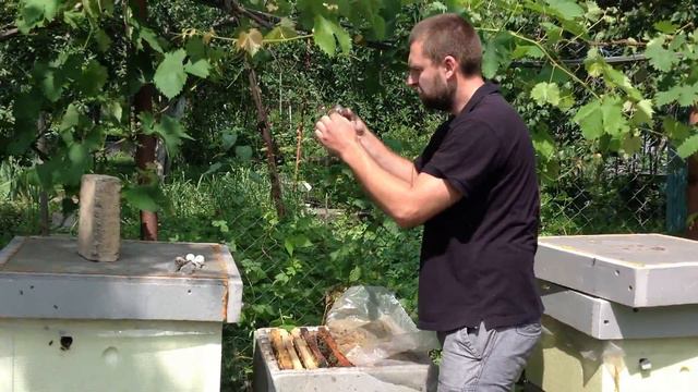 ВЫВОД МАТОК ЛЕГЧЕ ЛЁГКОГО смотреть онлайн