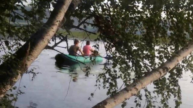 VLOG#5 - МАЛАМУТ НЕ УМЕЕТ ПЛАВАТЬ? смотреть онлайн