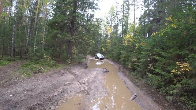 Renault DUSTER и УАЗ Патриот в лесу. смотреть онлайн