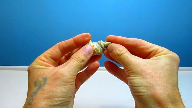 Лепим морского конька из морских ракушек / Поделки Фигурки Сувениры от MrCreator смотреть онлайн