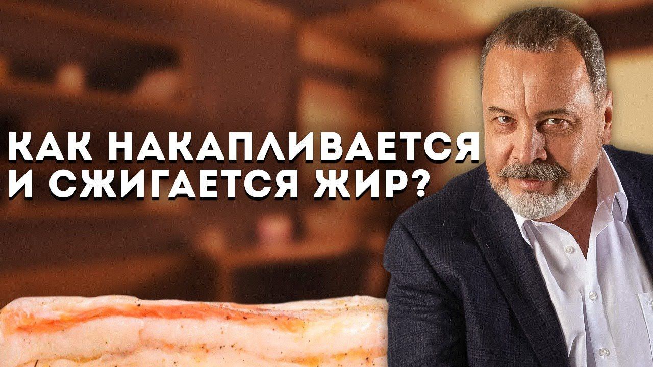 КАК СЖЕЧЬ ЖИР / АЛЕКСЕЙ КОВАЛЬКОВ О ТОМ КАК НАКАПЛИВАЕТСЯ И СЖИГАЕТСЯ ЖИР В ОРГАНИЗМЕ смотреть онлайн