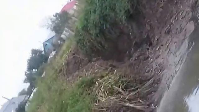 д. Старниково Раменского района смотреть онлайн