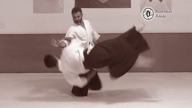 Aikido - Tegatana / Atemi смотреть онлайн