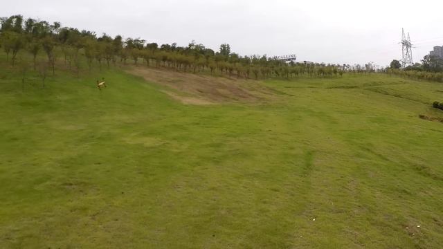 WLToys V383 Collective Pitch Quadcopter Low Altitude 3D Aerobatics смотреть онлайн