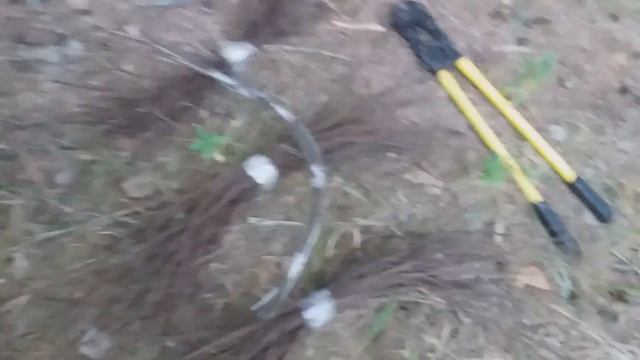 Болторез работает. Строгаю чернуху. смотреть онлайн