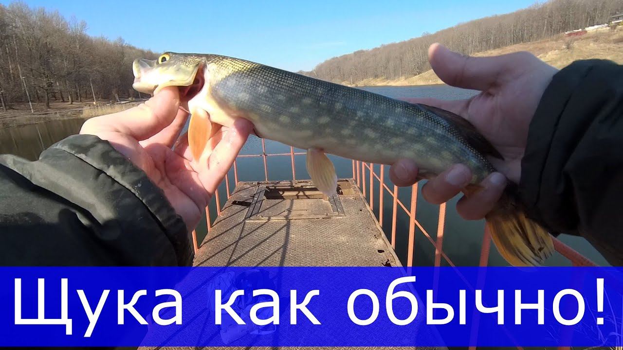 DAYO Amulet 0-3, Щука, окунь