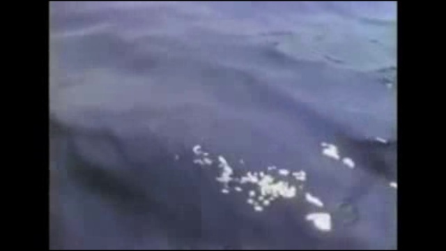 OVNI  UFO ENLÈVEMENTS ABDUCTIONS PAR DES EXTRATERRESTRES