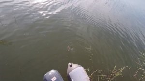 Клевая Рыбалка на Чанах ( о.Кобылий , Сентябрь)