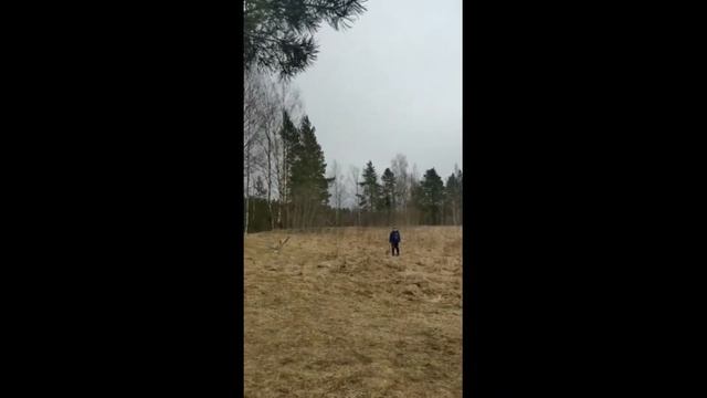 Орел за 50 руб, все таки заставили его летать смотреть онлайн