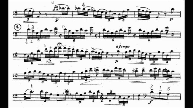 YIFAN WU plays "Konzert in E Dur for Double bass" Dittersdorf смотреть онлайн