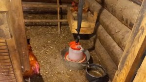 Содержание кур в тёплом курятнике. Рецепт комбикорма для хорошей яйценоскости кур#курятник#куры#hen