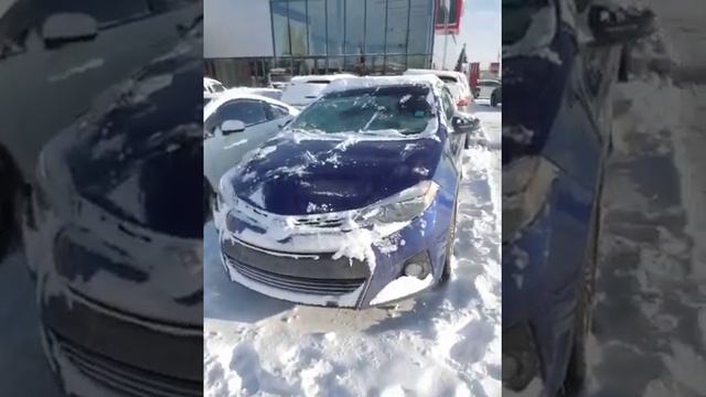 2015 toyota Corolla S premium TRD edition смотреть онлайн