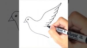Как нарисовать голубя | Рисунок белого голубя мира