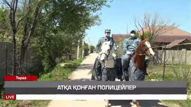 Прямая трансляция taraz 24 смотреть онлайн