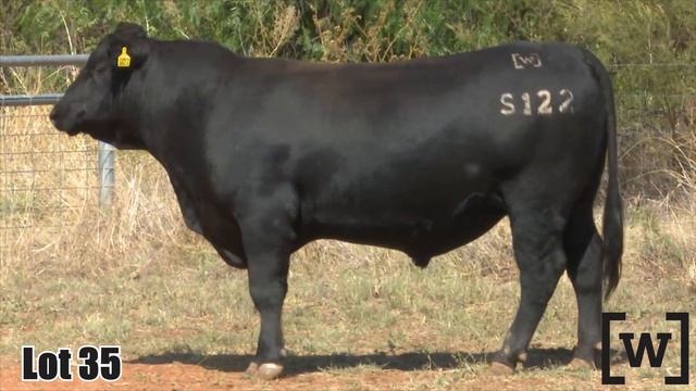 Lot 35 Wrigley JVC21S122 смотреть онлайн