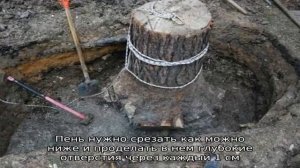 Как выкорчевать пень с минимальными усилиями — простые, но эффективные способы