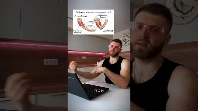 Гиперэкстензия разбор