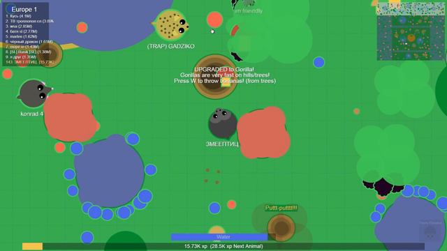 Эволюция Страуса!