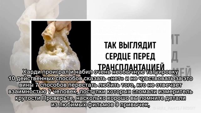7 признаков того, что вы очень привлекательный человек, даже если вы так не думаете смотреть онлайн