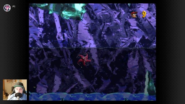 Donkey Kong Country 2 Part 19 - The ghost bird attack смотреть онлайн