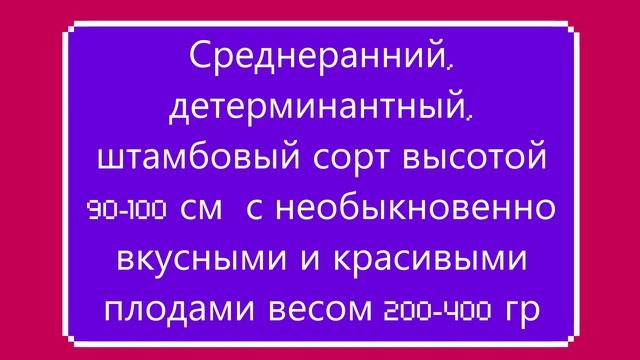 Часть 5 Каталога томатов 2023 г. г. КИРОВ. Ватсап тел. 89229284031 смотреть онлайн