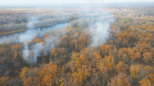Лесной пожар на острове Рождественском / Самарская лука / 13 октября смотреть онлайн