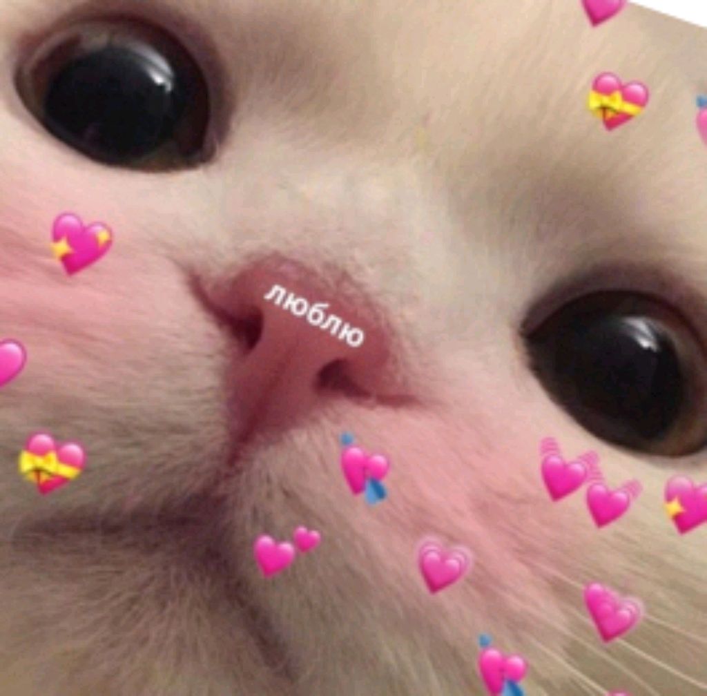 цу смотреть онлайн