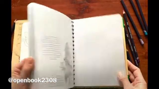 Sketchbook. Рисуем цветы. Экспресс-курс | 0+ смотреть онлайн